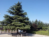 ԰������