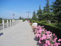 ԰������