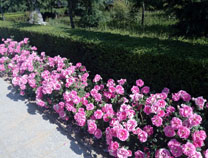 ԰������