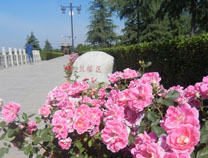 ԰������