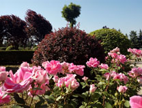 ԰������