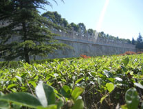 ԰������